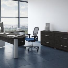 Conjunto Ejecutivo Basse