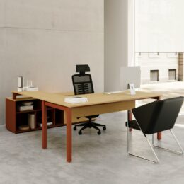 Conjunto Ejecutivo Mitos