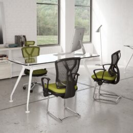 Conjunto Ejecutivo Vector